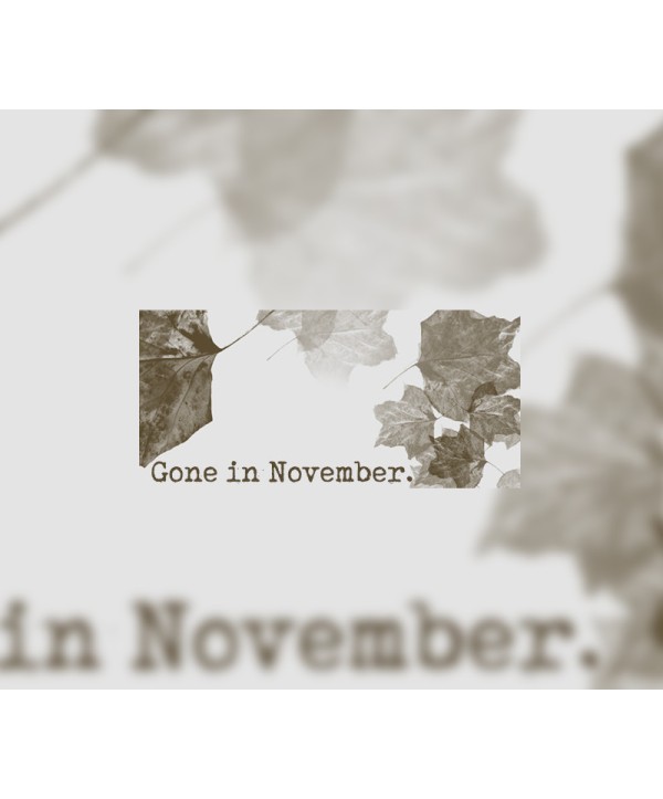 Gone In November Steam Key EUROPE
